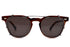 DEAN C 47size col.MOTH TORTOISE